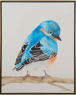 Blue bird
