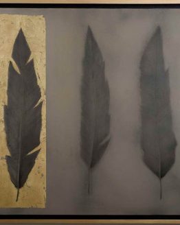 Plumas juntas