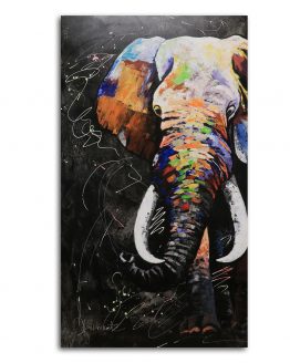 UCM2019 ELEFANTE COLORES