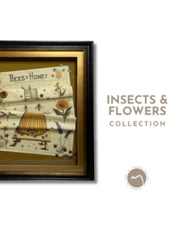 INSECTS & FLOWERS
